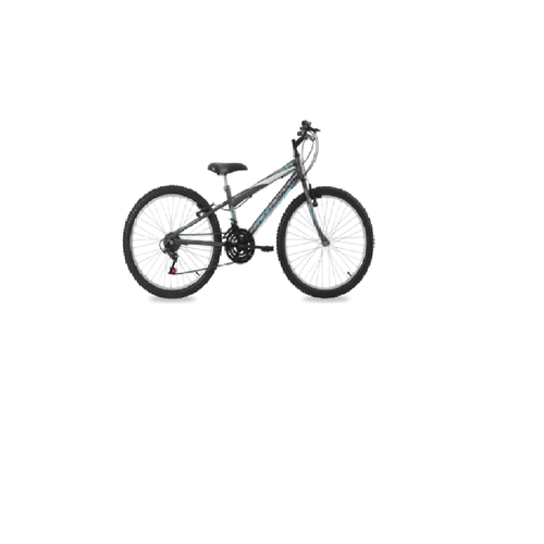 Bicicleta Free Action Aro 24 18V Eden V-Brake  Grafite